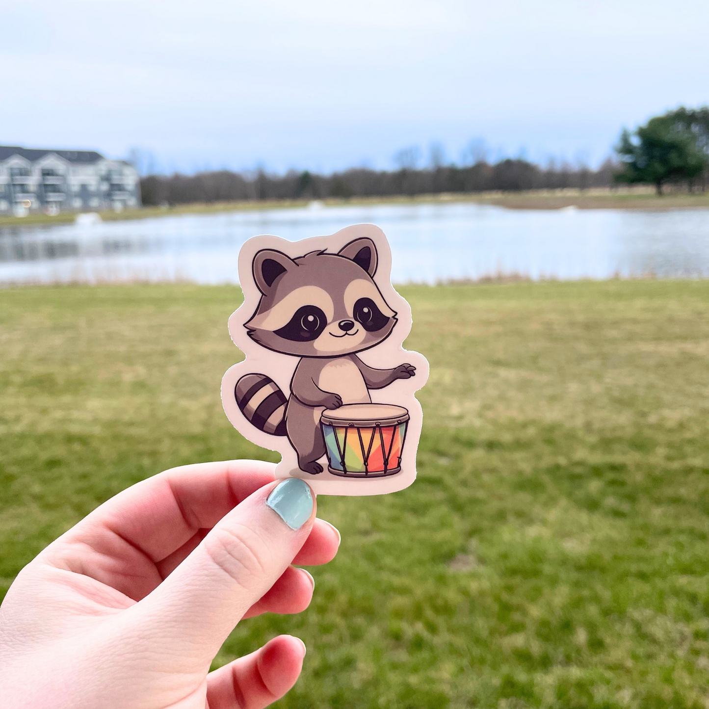 Raccoon Drumming Sticker